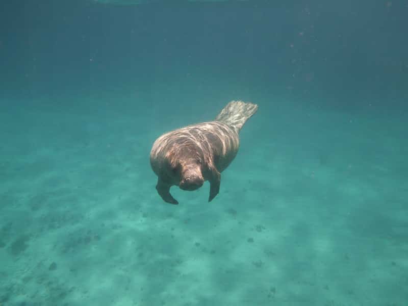 Mexico and Belize trip